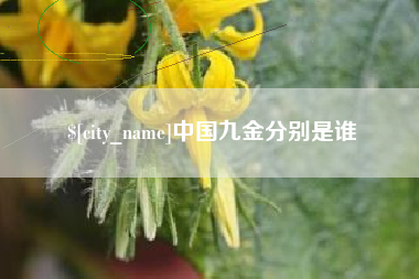 兰考中国九金分别是谁