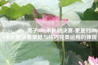 兰考男子5000米长跑决赛-更是对5000米长跑决赛策略与技巧完美运用的体现