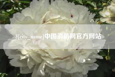 兰考中国消防网官方网站