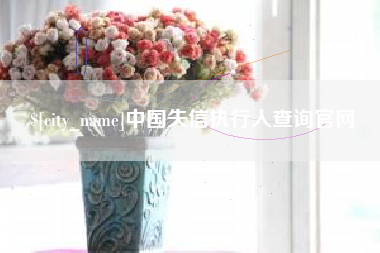 兰考中国失信执行人查询官网