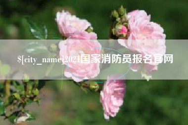 兰考2021国家消防员报名官网