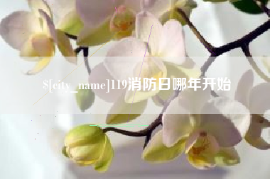 兰考119消防日哪年开始