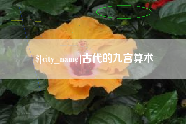 兰考古代的九宫算术
