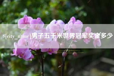 兰考男子五千米世界冠军奖金多少