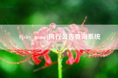 兰考执行公告查询系统