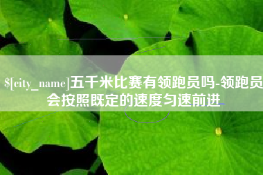 兰考五千米比赛有领跑员吗-领跑员会按照既定的速度匀速前进