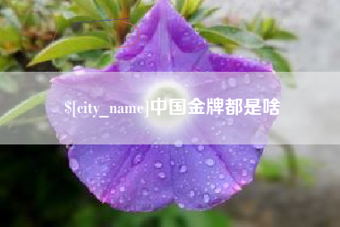 兰考中国金牌都是啥