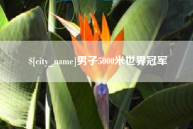 兰考男子5000米世界冠军
