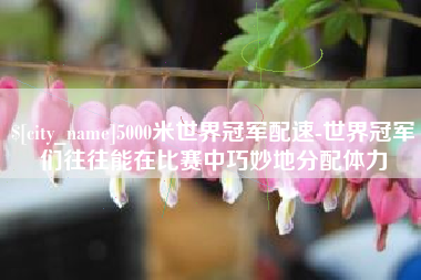 兰考5000米世界冠军配速-世界冠军们往往能在比赛中巧妙地分配体力