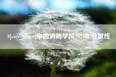 兰考中国消防学院2024年分数线