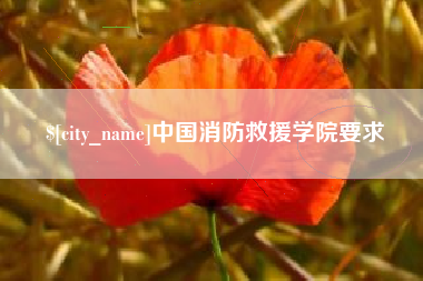 兰考中国消防救援学院要求