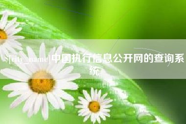 兰考中国执行信息公开网的查询系统