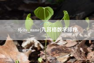 兰考九宫格数字排序
