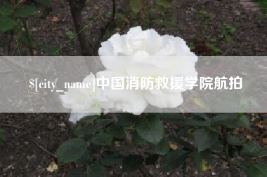 兰考中国消防救援学院航拍