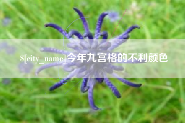 兰考今年九宫格的不利颜色