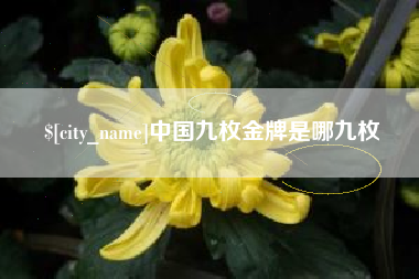 兰考中国九枚金牌是哪九枚