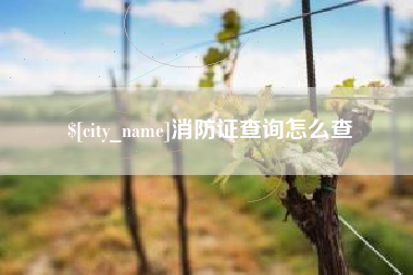 兰考消防证查询怎么查
