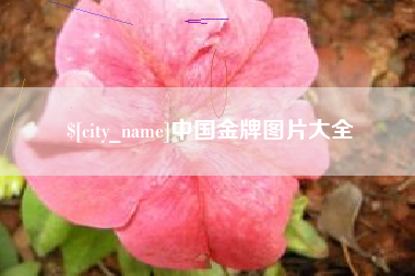 兰考中国金牌图片大全