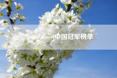 兰考中国冠军榜单