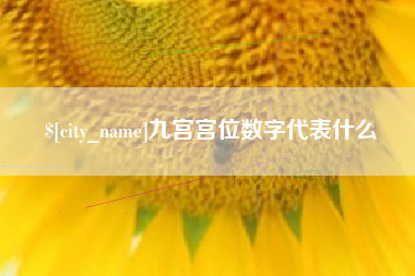 兰考九宫宫位数字代表什么
