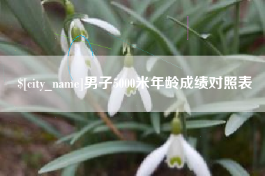 兰考男子5000米年龄成绩对照表
