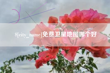 兰考免费卫星地图哪个好