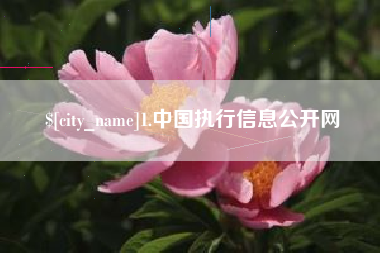 兰考1.中国执行信息公开网