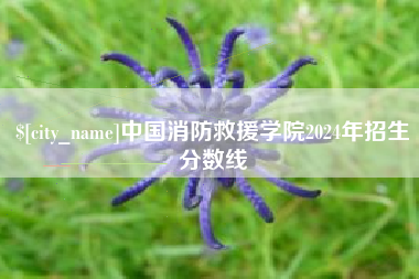 兰考中国消防救援学院2024年招生分数线
