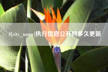 兰考执行信息公开网多久更新