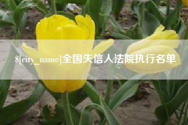 兰考全国失信人法院执行名单