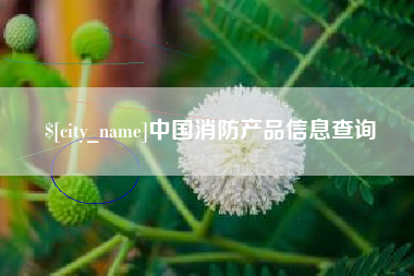 兰考中国消防产品信息查询