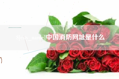 兰考中国消防网址是什么