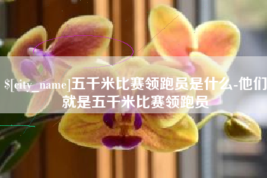 兰考五千米比赛领跑员是什么-他们就是五千米比赛领跑员