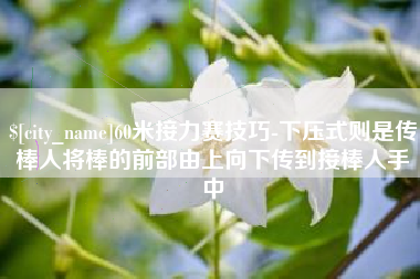 兰考60米接力赛技巧-下压式则是传棒人将棒的前部由上向下传到接棒人手中