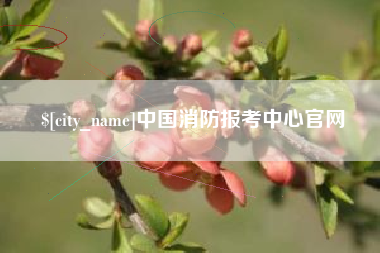 兰考中国消防报考中心官网