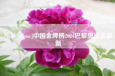 兰考中国金牌榜2024巴黎奥运会最新