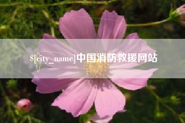 兰考中国消防救援网站