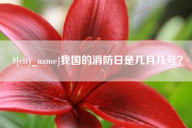 兰考我国的消防日是几月几号？