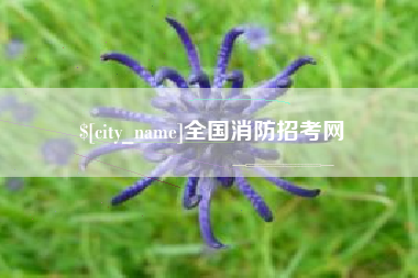 兰考全国消防招考网