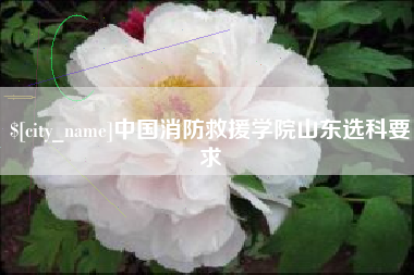 兰考中国消防救援学院山东选科要求