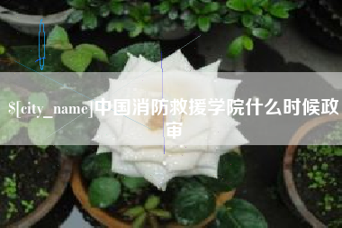 兰考中国消防救援学院什么时候政审