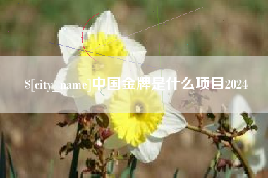 兰考中国金牌是什么项目2024