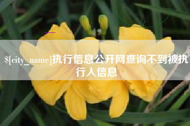 兰考执行信息公开网查询不到被执行人信息