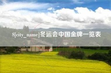 兰考冬运会中国金牌一览表
