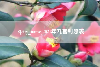 兰考2021年九宫对照表