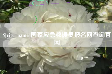 兰考国家应急救援员报名网查询官网