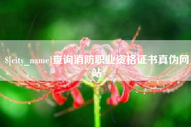 兰考查询消防职业资格证书真伪网站