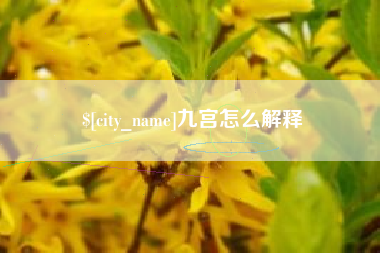 兰考九宫怎么解释