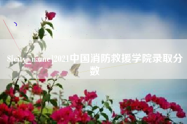 兰考2021中国消防救援学院录取分数