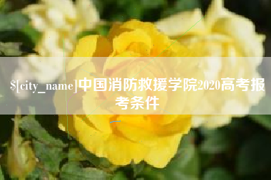兰考中国消防救援学院2020高考报考条件